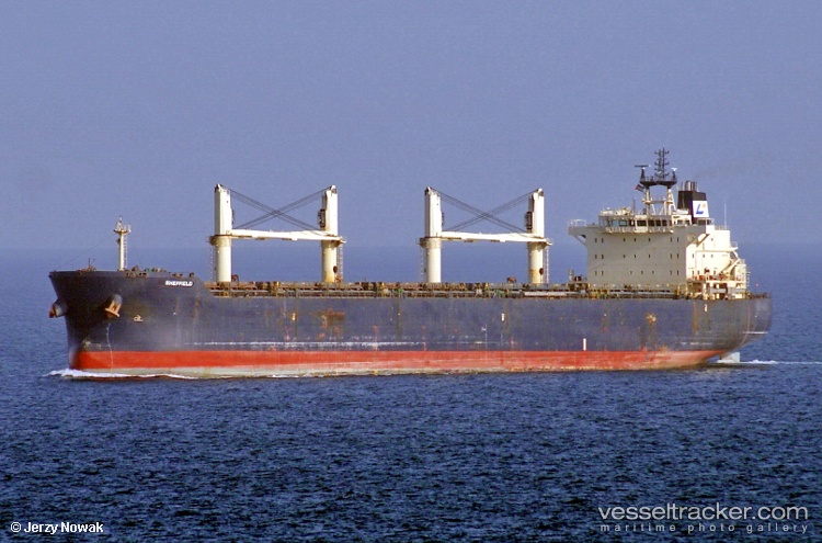 Yangtze-Quantum - Bulk Carrier vessel