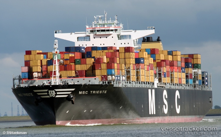 Msc-Trieste - Container Ship vessel