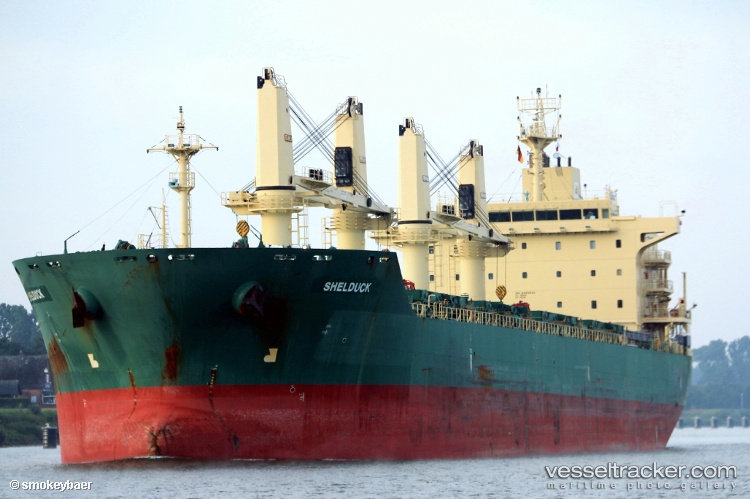Zhe-Neng-6 - Bulk Carrier vessel