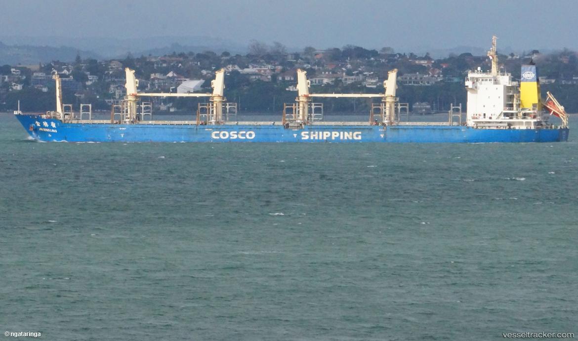 Jin-Xing-Ling - Wood Chips Carrier vessel