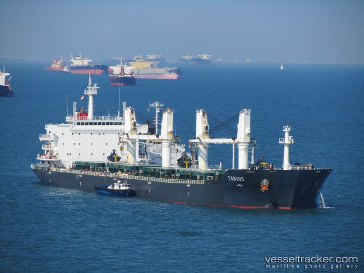 Xing-Hai-He - Bulk Carrier vessel