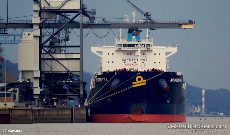 Aphrodite-L - Bulk Carrier vessel