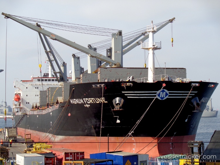 Latifah-Baruna - Bulk Carrier vessel