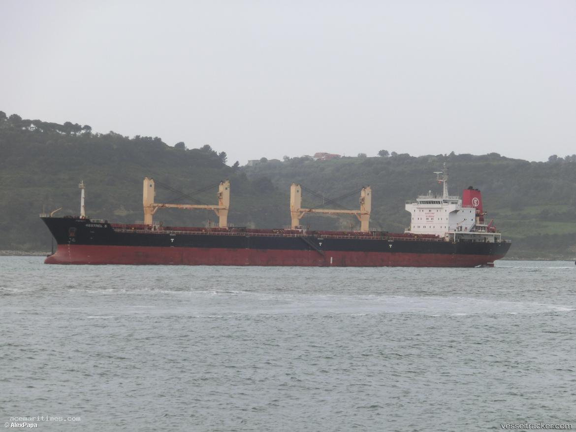 Kestrel-S - Bulk Carrier