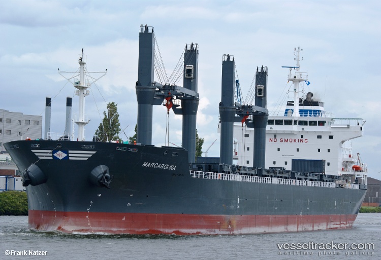 Bulker-Bee-30 - Bulk Carrier vessel