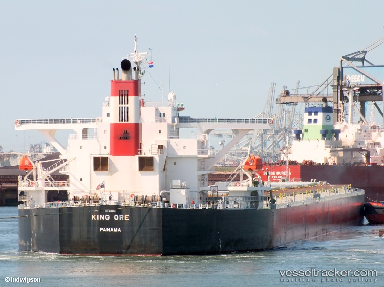 Cape-Sarina - Bulk Carrier vessel