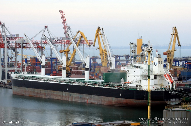 Bravo-Samudra - Bulk Carrier vessel