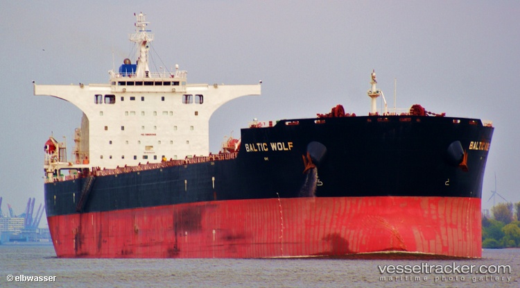 Baltic-Wolf - Bulk Carrier vessel