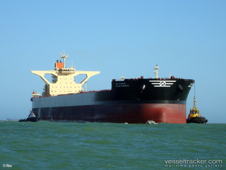 Hl-Tubarao - Ore Carrier vessel