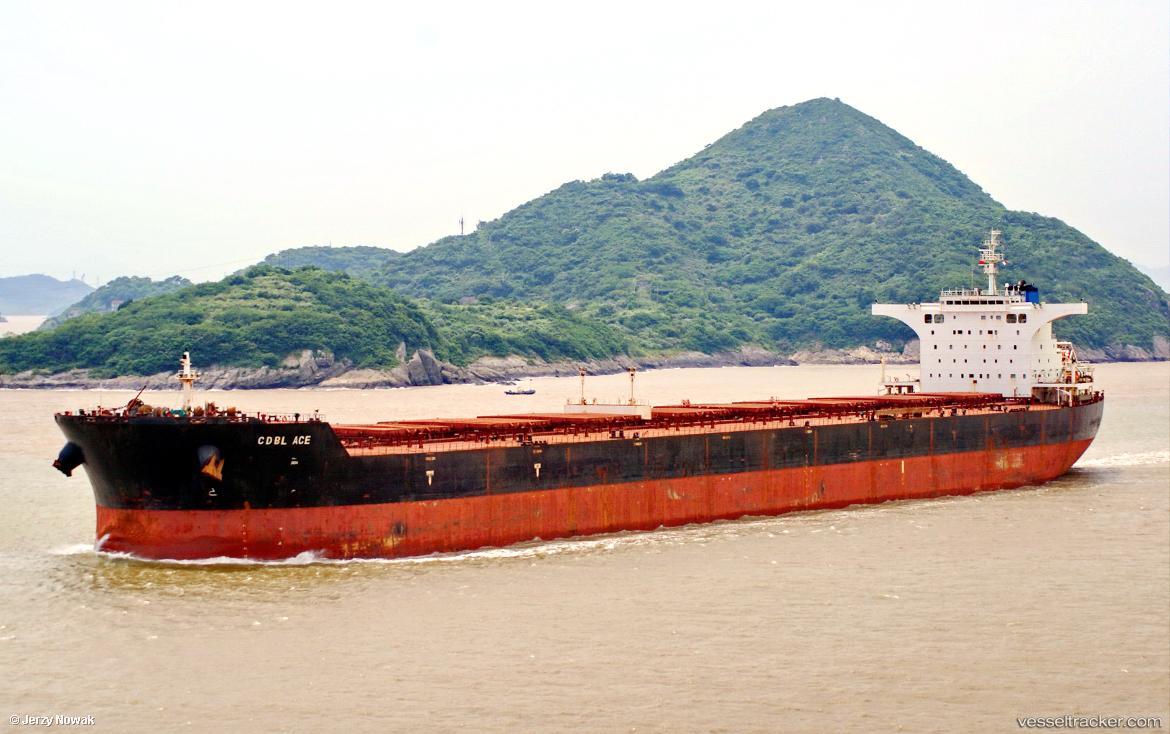 Esl-Walrus - Bulk Carrier vessel