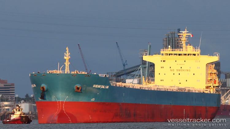 Ocean-Dalian - Bulk Carrier