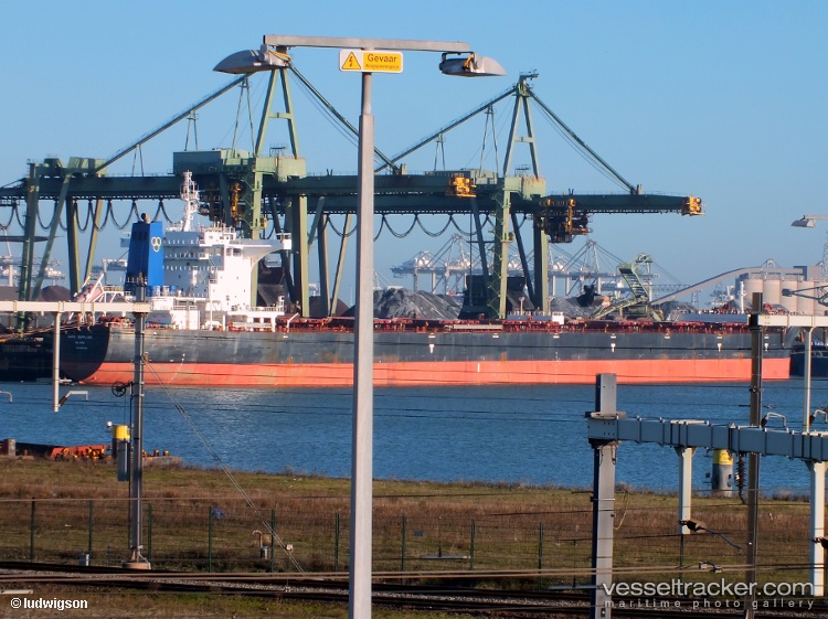 Cape-Supplier - Bulk Carrier vessel