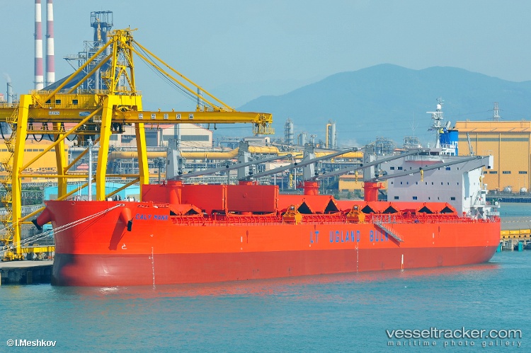 Viet-Thuan-56-03 - Bulk Carrier vessel