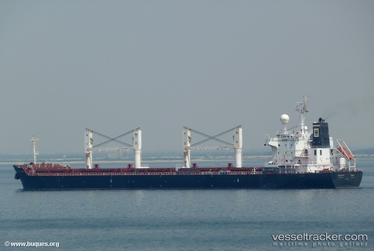 Butinah - Bulk Carrier vessel