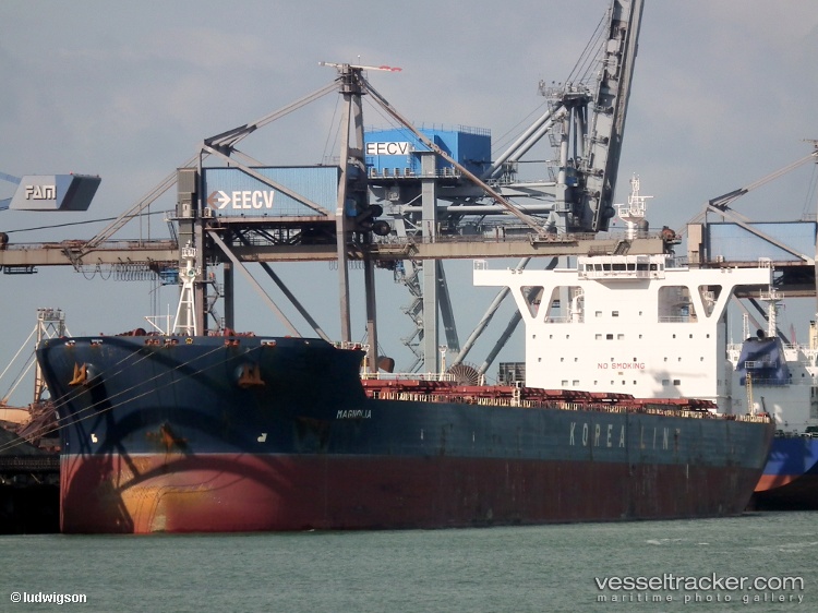 Golden-Magnum - Bulk Carrier vessel