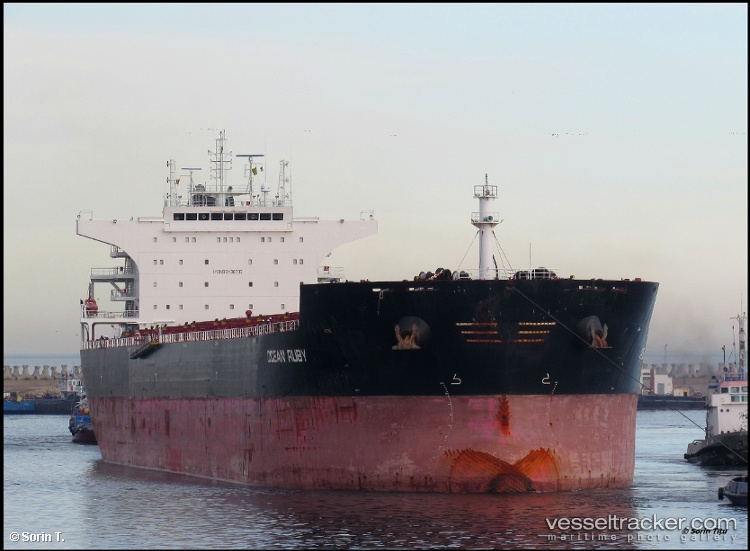 Grey-Whale - Bulk Carrier vessel