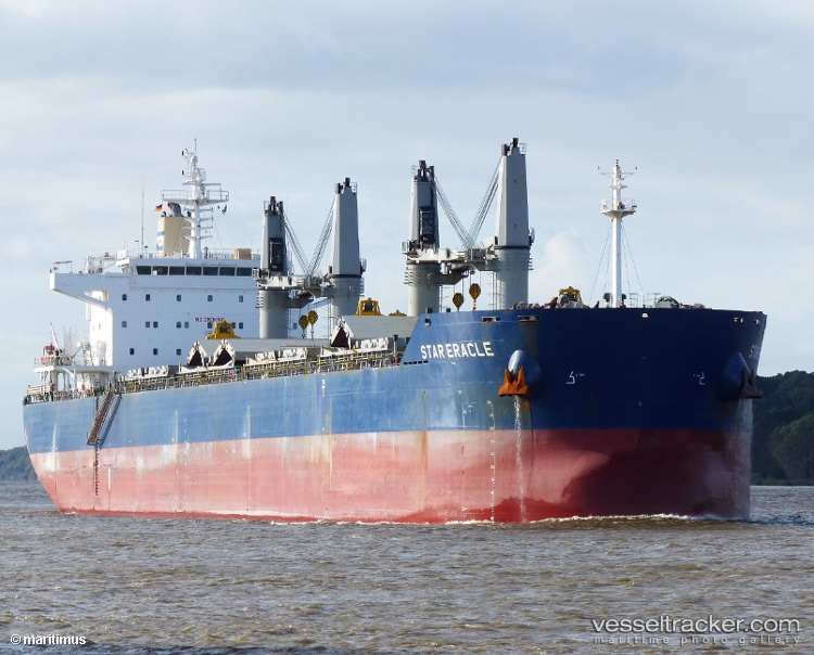 Eracle - Bulk Carrier vessel