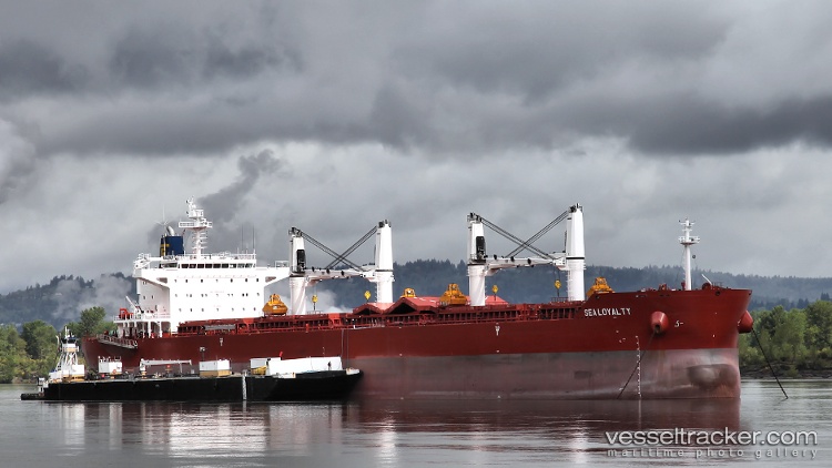 Endless-Horizon - Bulk Carrier vessel