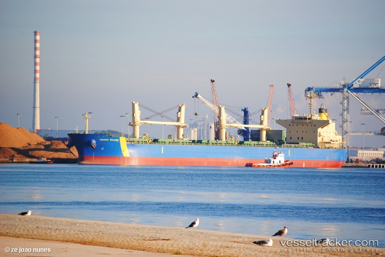 Anima - Bulk Carrier vessel