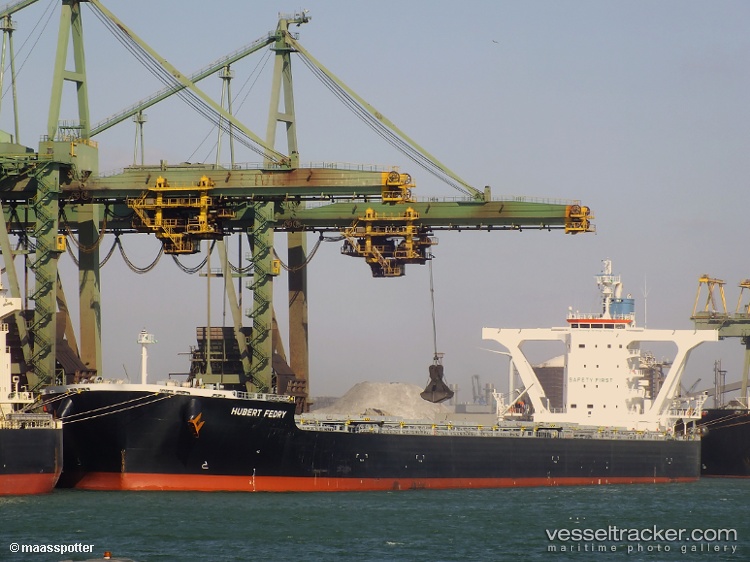 Cape-Peregrine - Bulk Carrier vessel