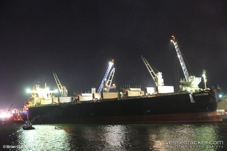 Yildizlar-4 - Wood Chips Carrier vessel