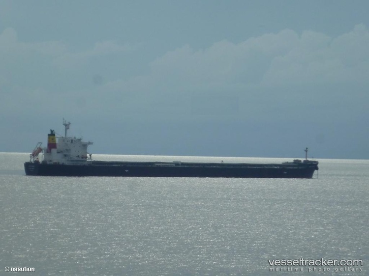 Sasebo-Ace - Bulk Carrier vessel