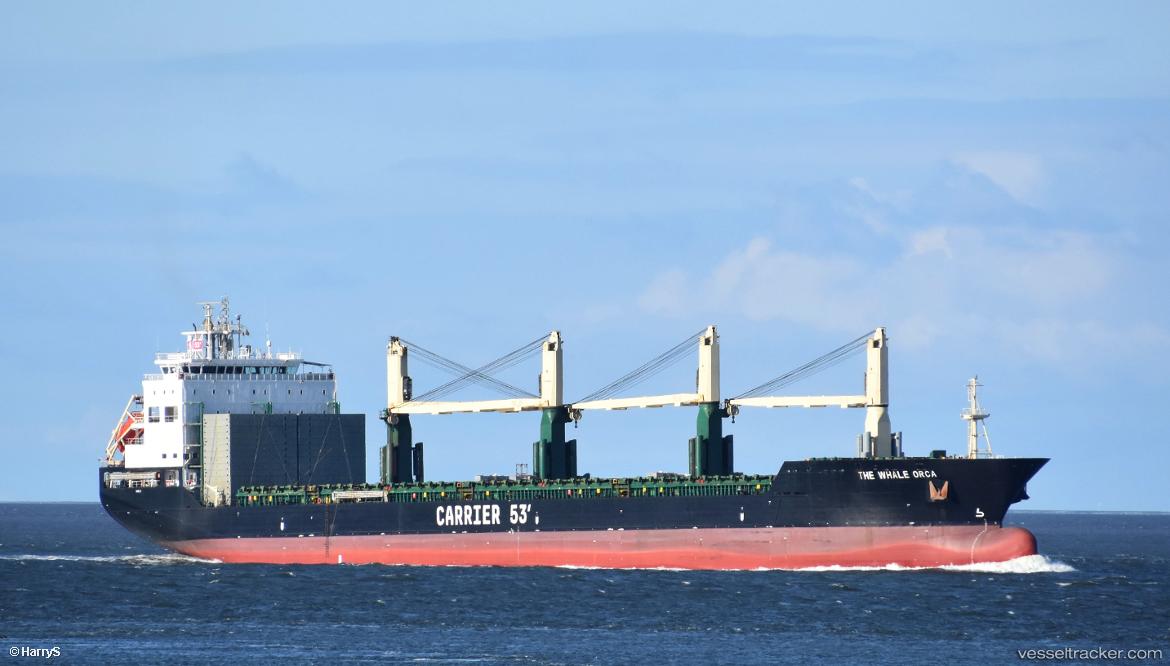 The-Whale-Orca - Multi Purpose Carrier vessel
