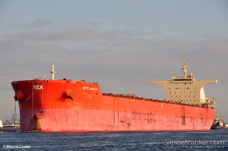 Pan-Acacia - Bulk Carrier vessel