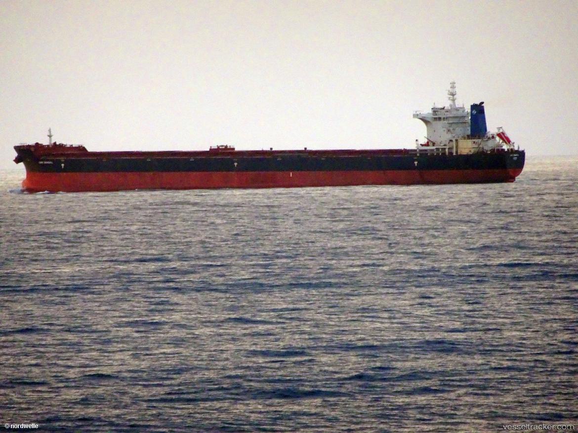 Cape-Seagull - Bulk Carrier vessel