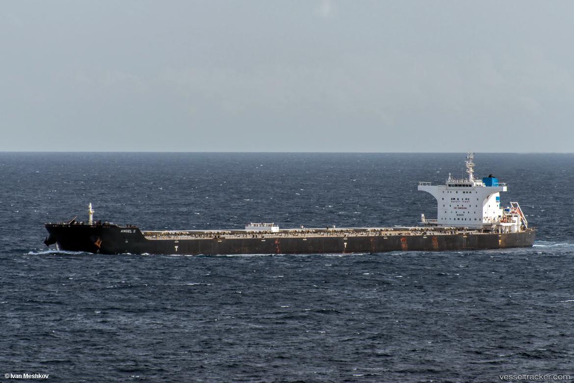 Angel-Ii - Bulk Carrier vessel