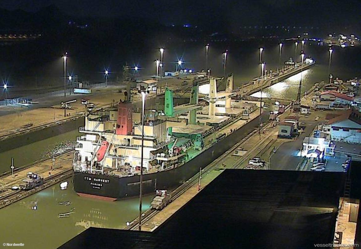Ttm-Harvest - Bulk Carrier vessel