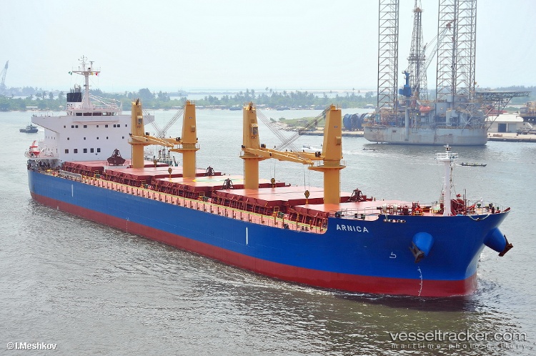 Arnica - Bulk Carrier vessel