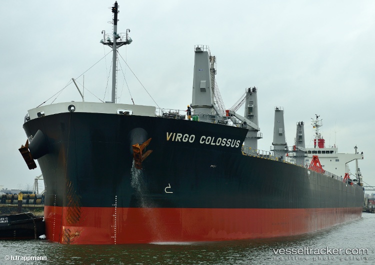 Elim-Bounce - Bulk Carrier vessel