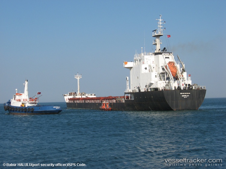 Michelle-1 - Bulk Carrier