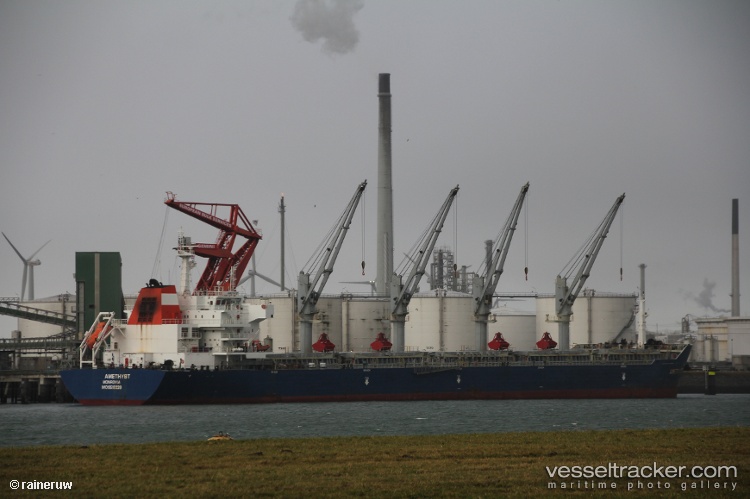 Starlight - Bulk Carrier vessel