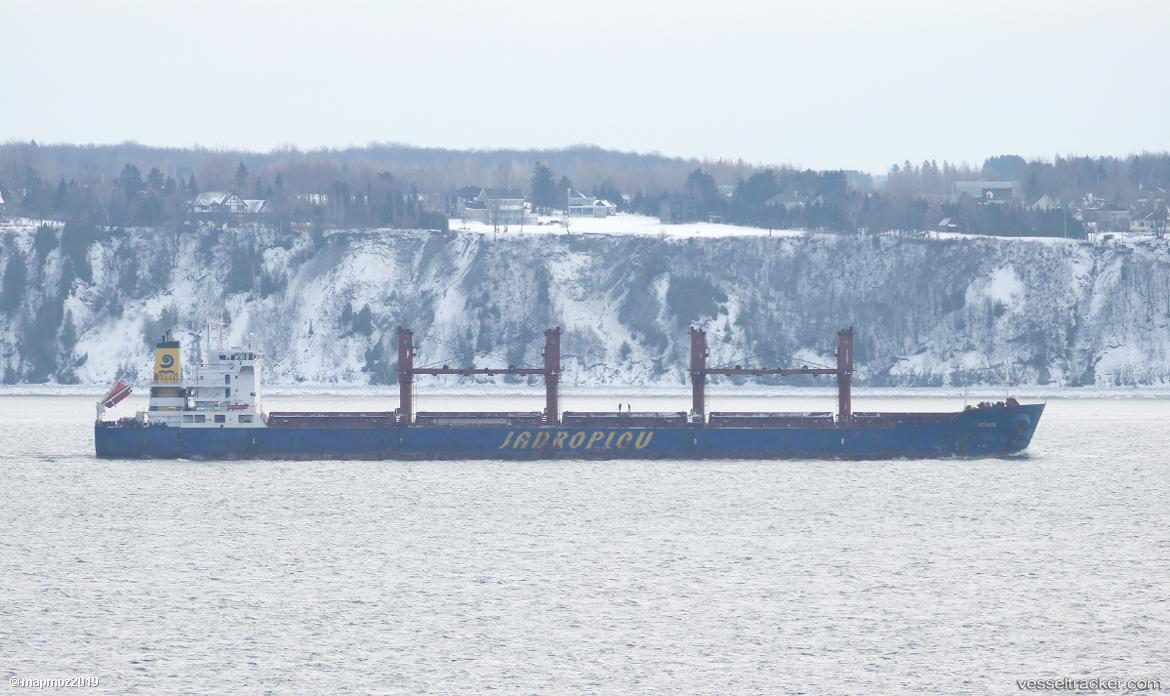 Peristil - Bulk Carrier vessel