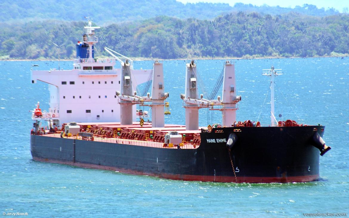 Wasp - Bulk Carrier vessel