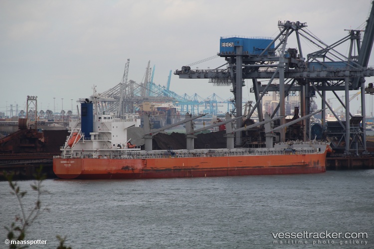 Orient-Focus - Bulk Carrier
