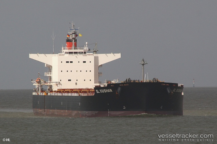 Amami - Bulk Carrier vessel