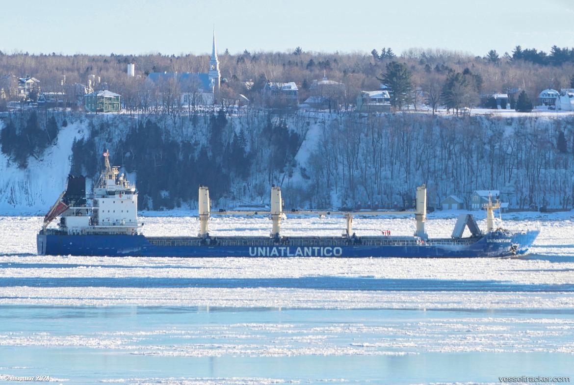 Veracruz - Bulk Carrier vessel