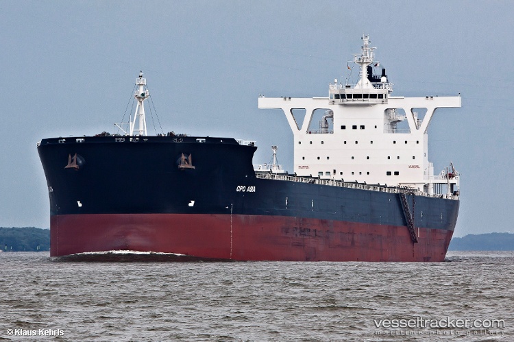 Captain-J.-Papadakis - Bulk Carrier vessel