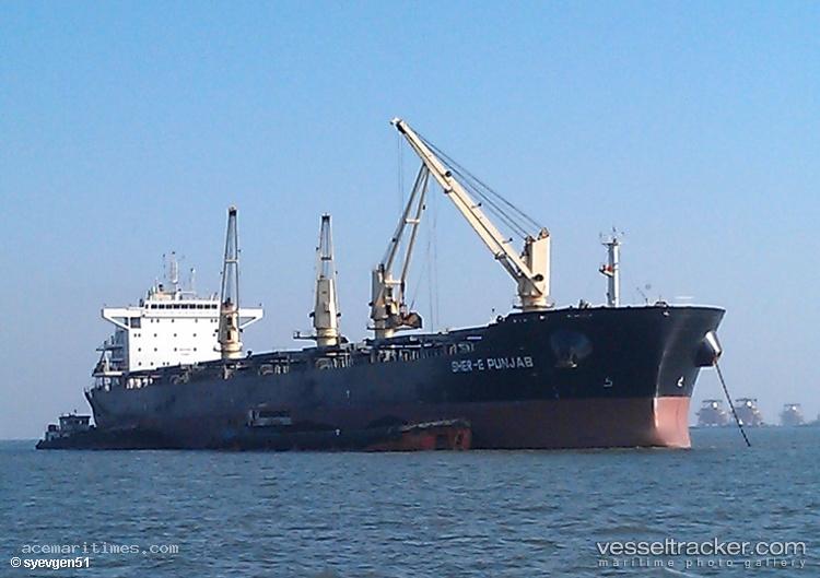 Marvel-I - Bulk Carrier
