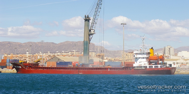 New-Gemini - General Cargo Ship vessel