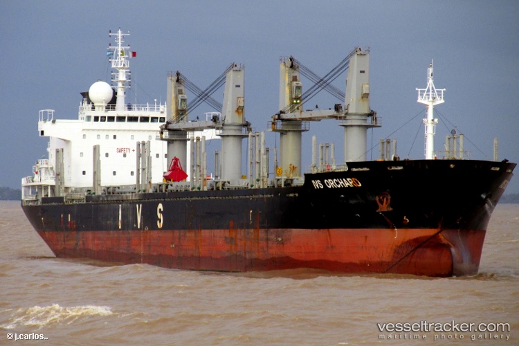 Sea-Horse - Bulk Carrier vessel