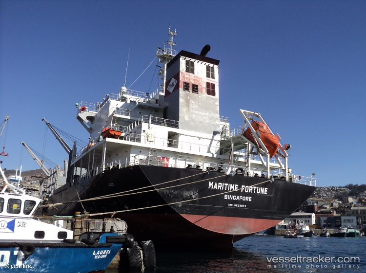 Dewi-Shinta-Manggala - Bulk Carrier vessel