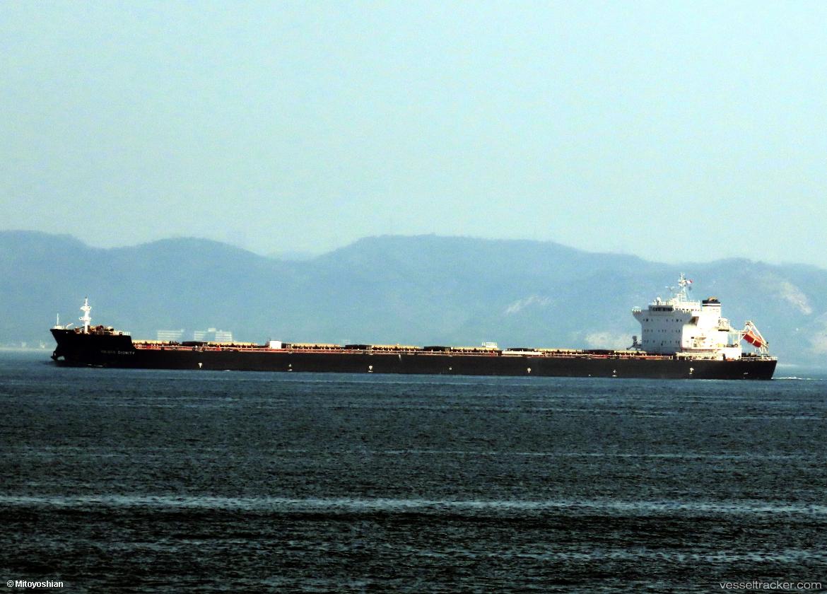 Iolcos-Dignity - Bulk Carrier vessel
