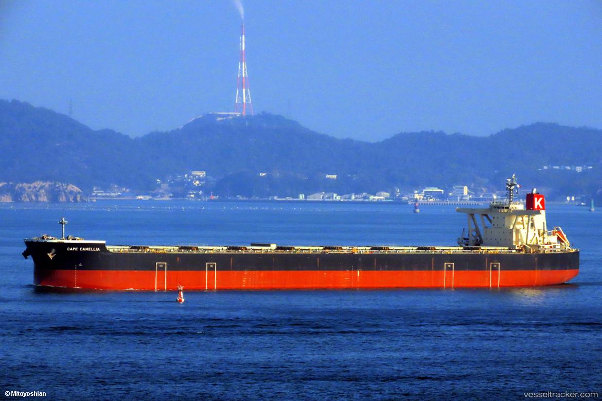 Cape-Camellia - Bulk Carrier vessel