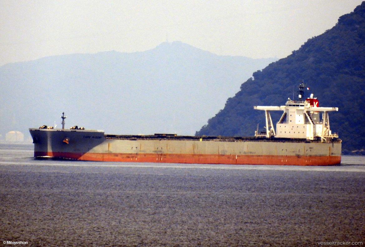 Cape-Midori - Bulk Carrier vessel