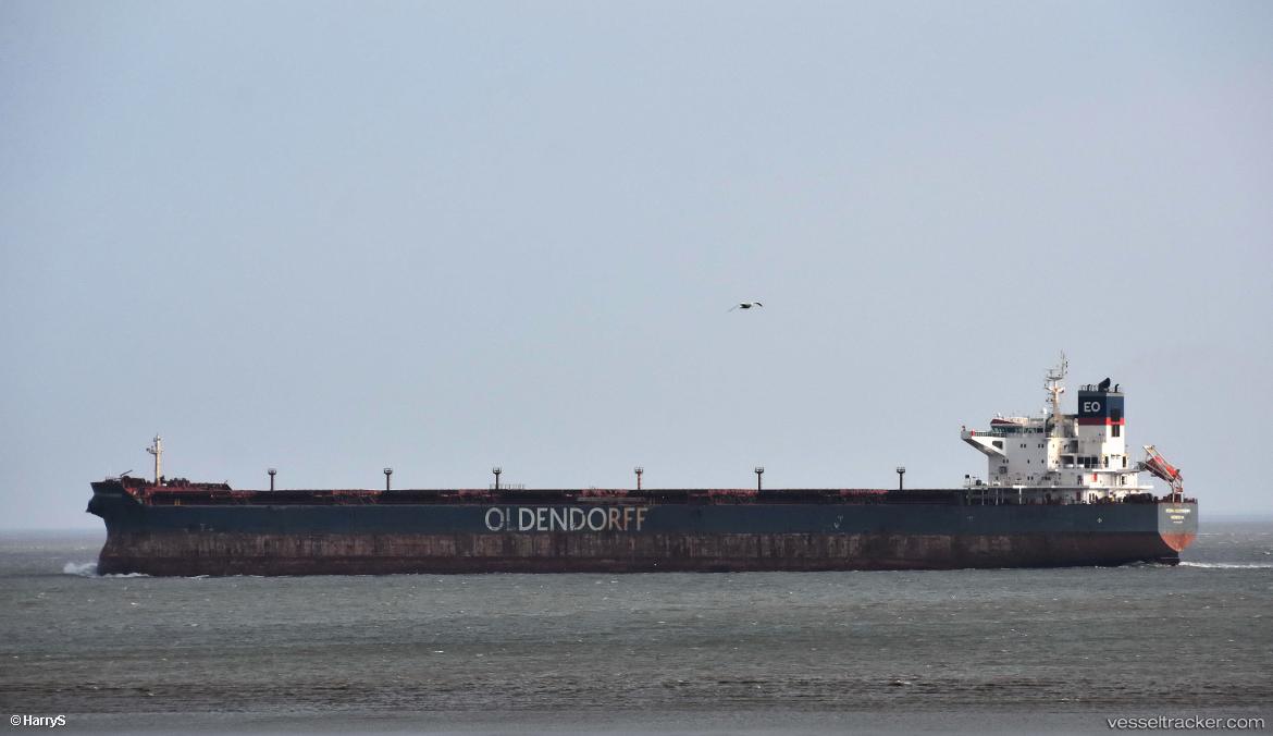 Regina-Oldendorff - Bulk Carrier vessel