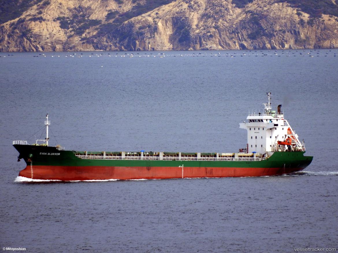Mv-Haldi - General Cargo Ship vessel